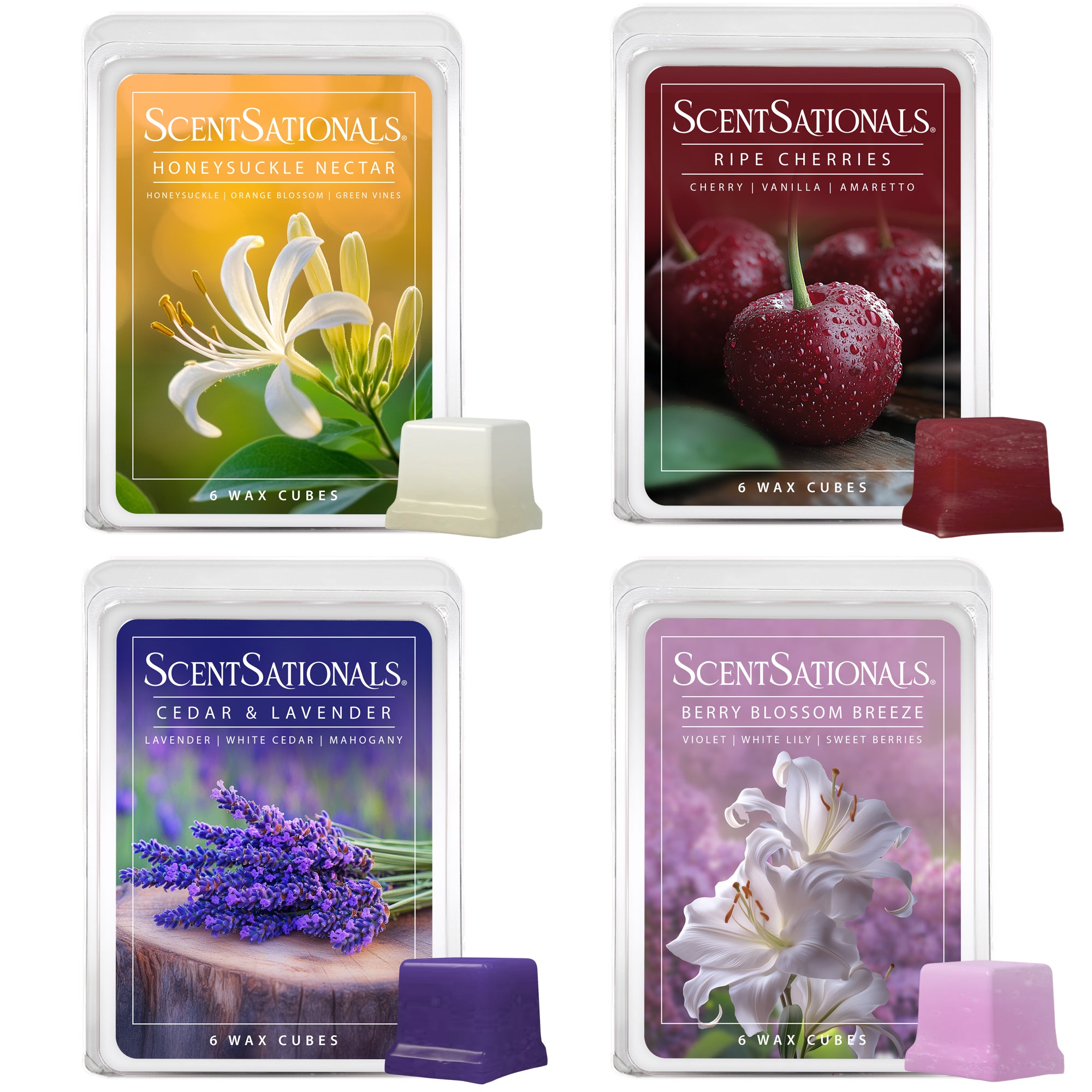 Down to Earth - Variety 4-Pack – ScentSationals