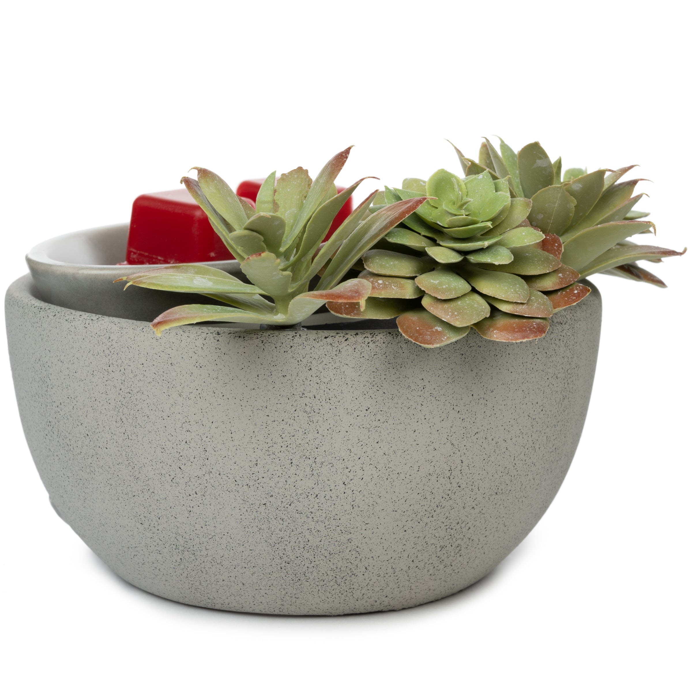 artificial succulent bowl Scentsationals Wax Melt Warmer, Wax Warmer for Scented Wax Melts - Boho Collection Succulent Bowl