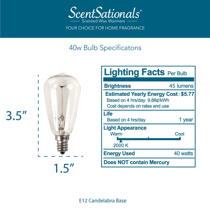 40 Watt Edison Bulb