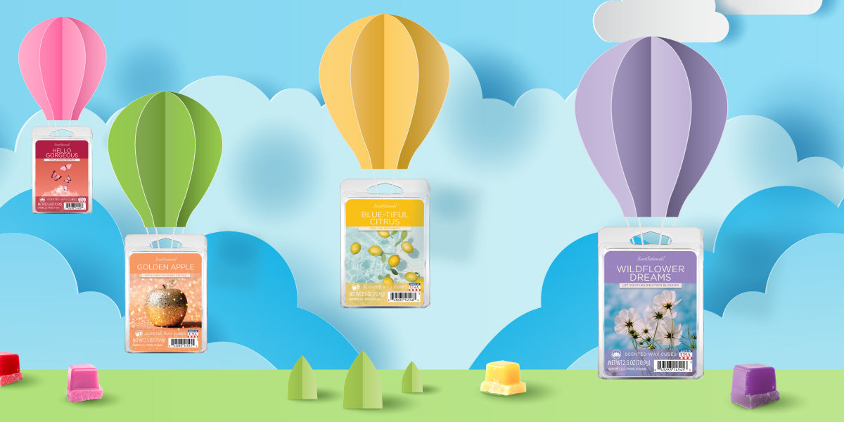 How Long Do Wax Melts Last and Other FAQs ScentSationals