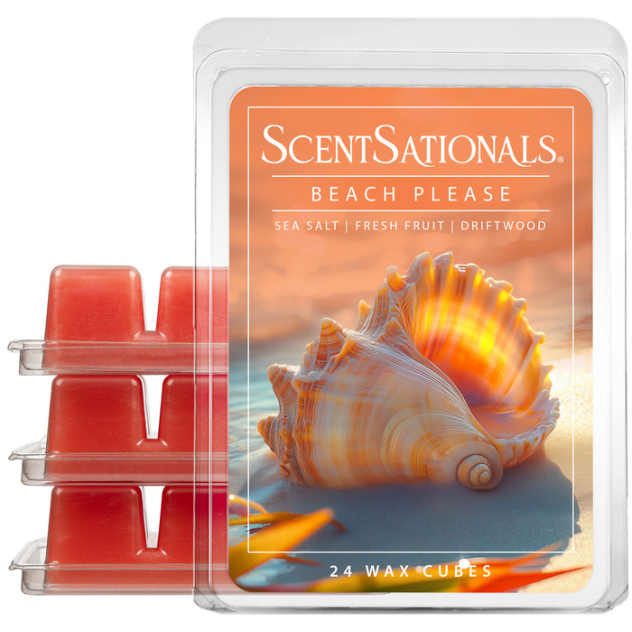 Beach Please - Wax Melt 4pk