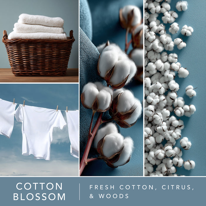 Cotton Blossom - Wax Melt 4pk