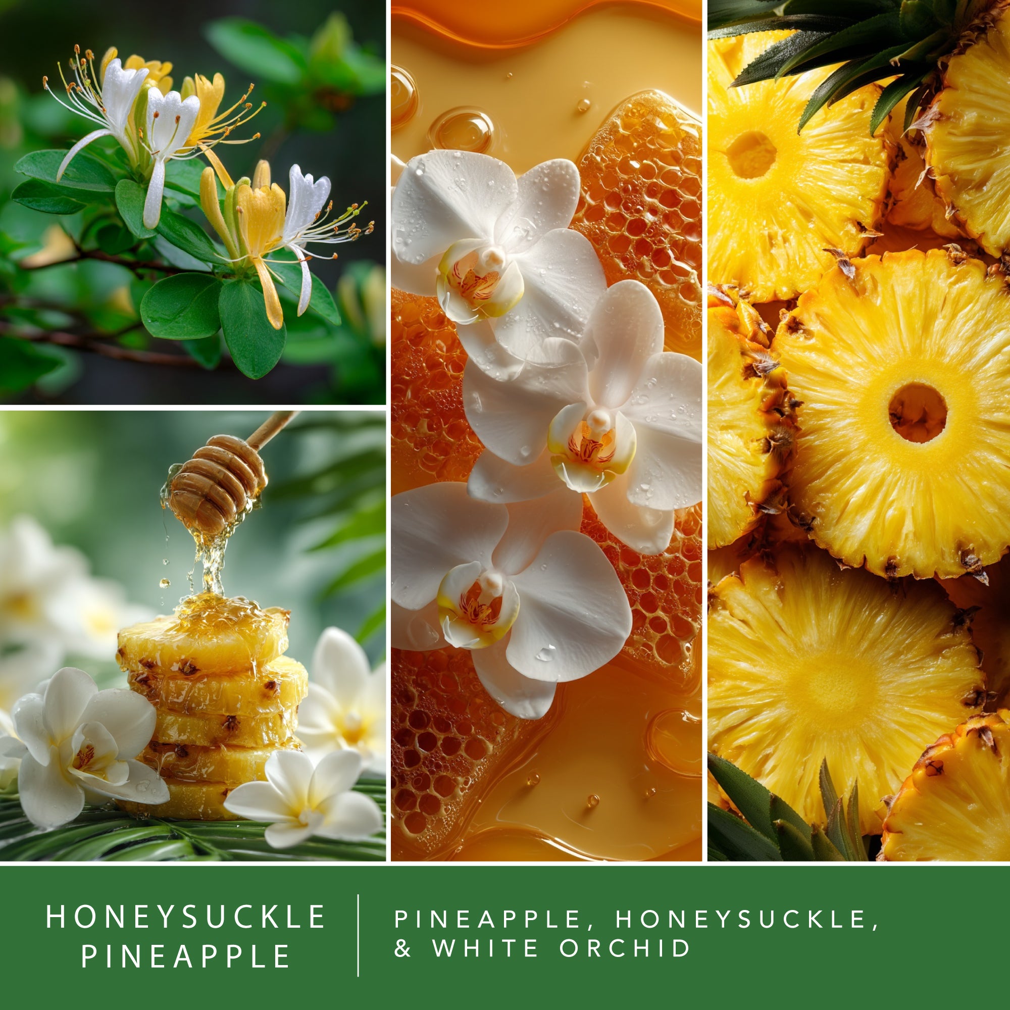 Honeysuckle Pineapple - 2.5oz – ScentSationals