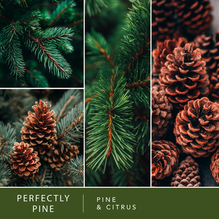 Perfectly Pine - Value Wax