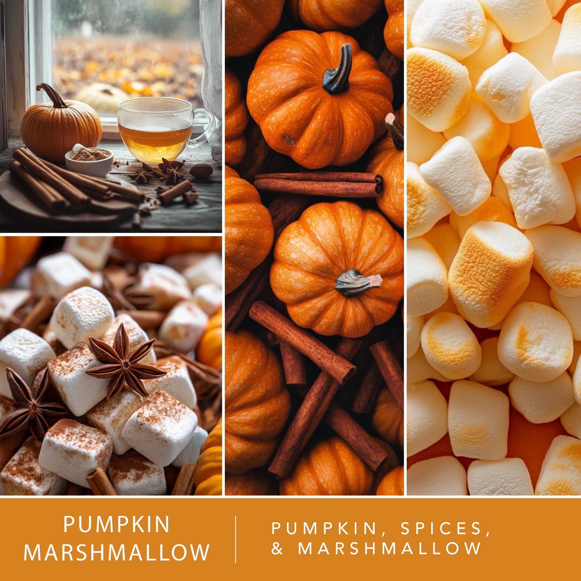 Pumpkin Marshmallow - 2.5oz – ScentSationals