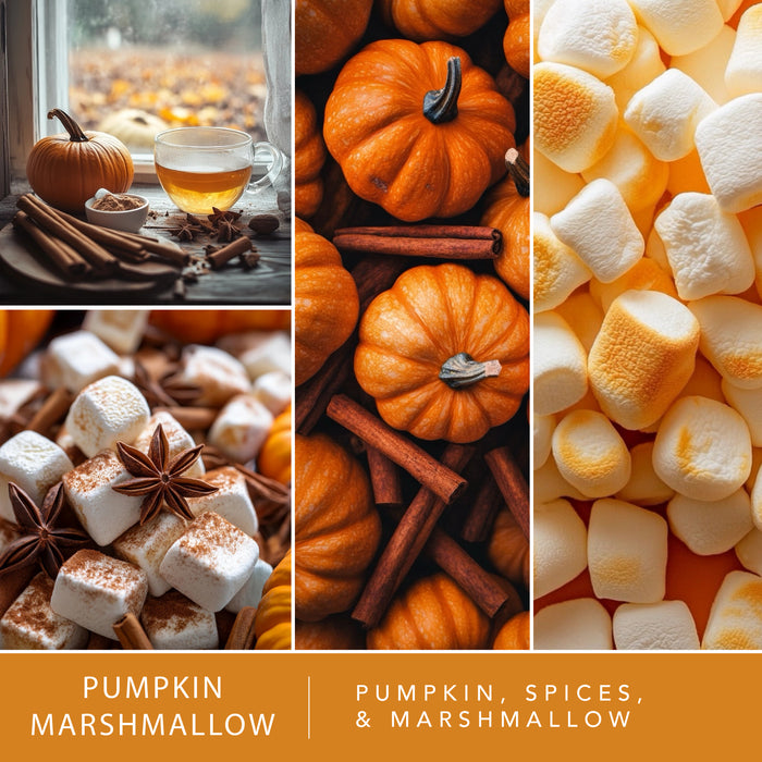 Pumpkin Party - Variety 4pk