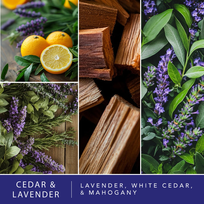 Cedar & Lavender