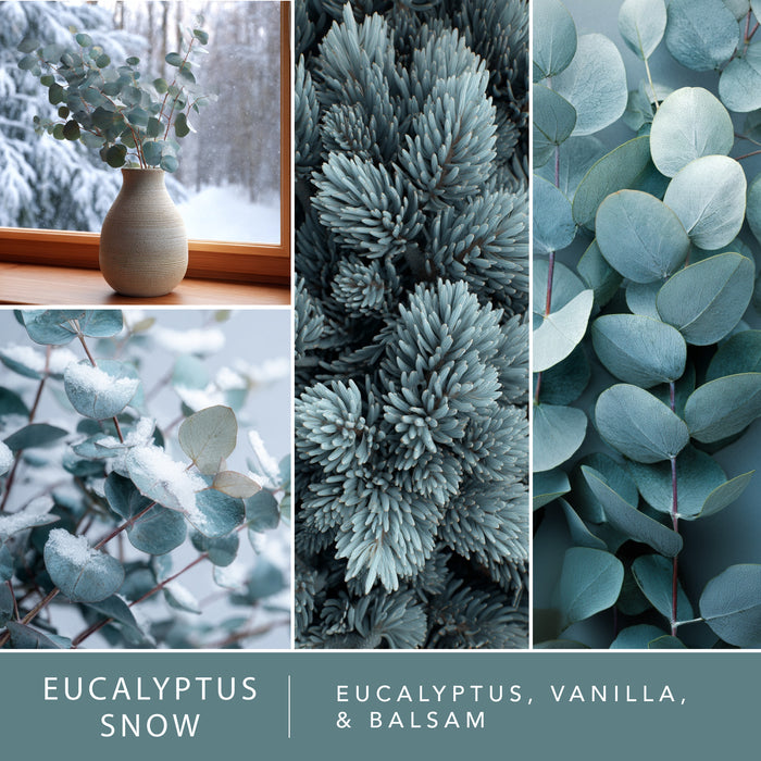Eucalyptus Snow - Wax Melt 4pk