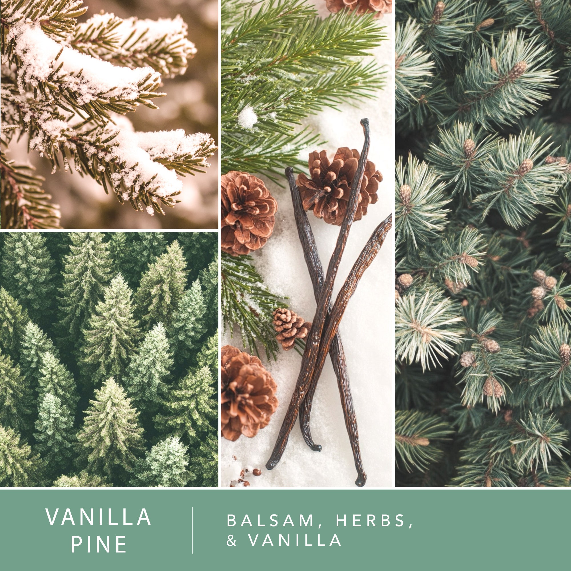 Harvest Home - Variety 4-Pack – ScentSationals