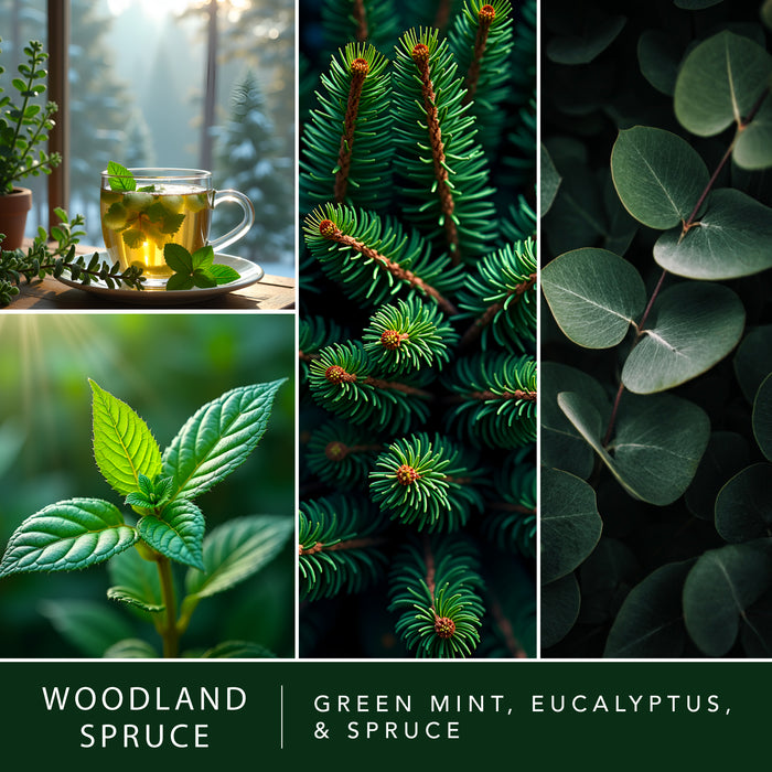 Holiday Favorites - Variety 4pk