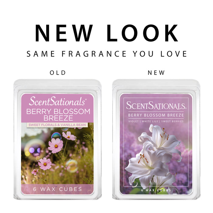 Berry Blossom Breeze - Wax Melt 4pk