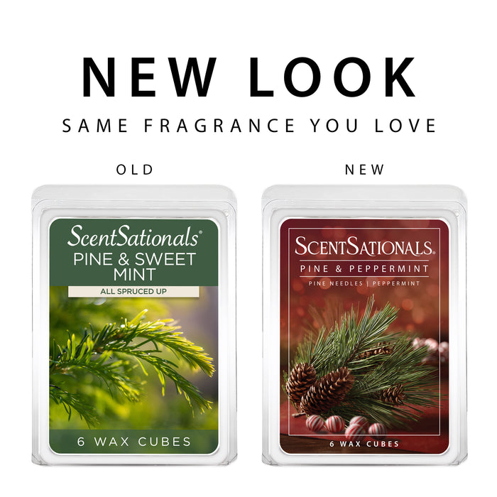 Pine & Peppermint - 2.5oz