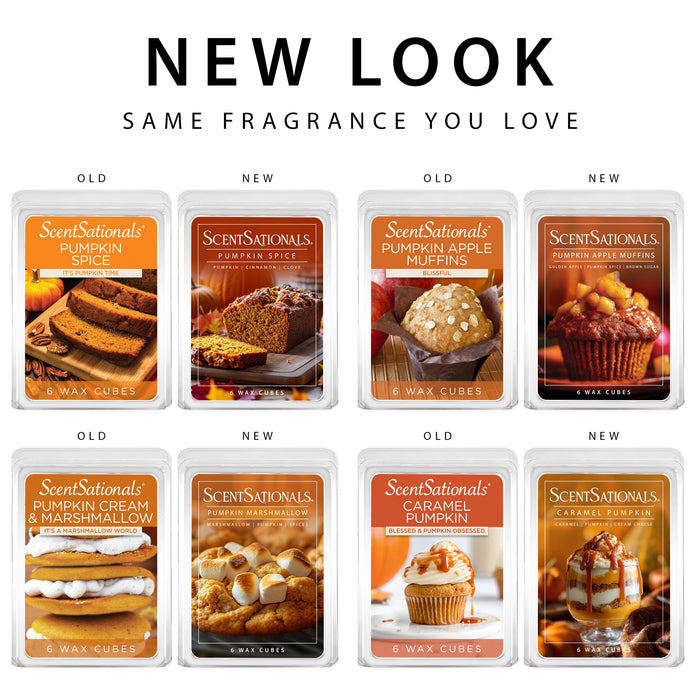 Pumpkin Party - Wax Melt Variety 4pk