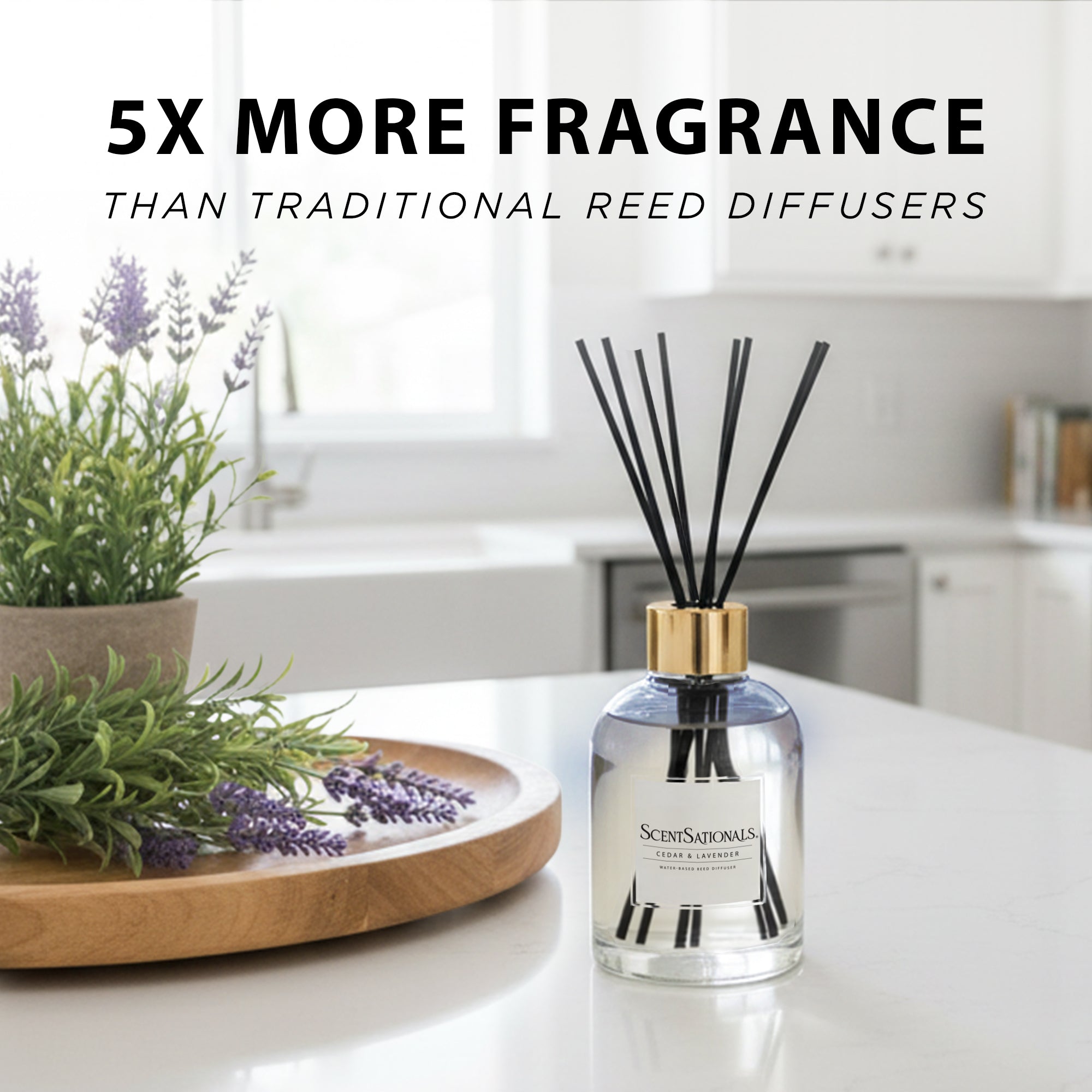 Diffuser Based Cedar & Lavender - Water-Based Reed Diffuser Oil – ScentSationals