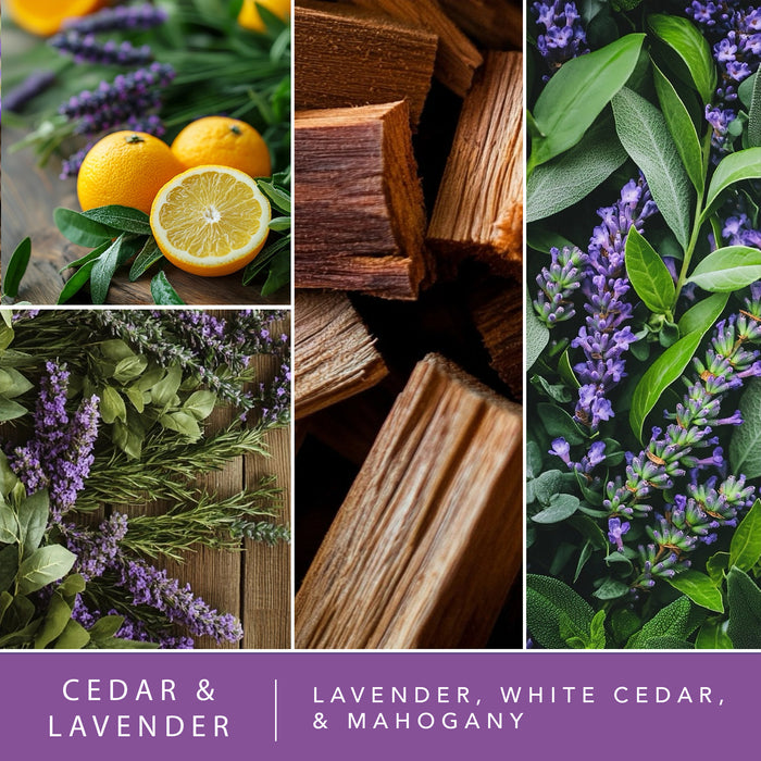Cedar & Lavender - Water-Based Reed Diffuser Oil