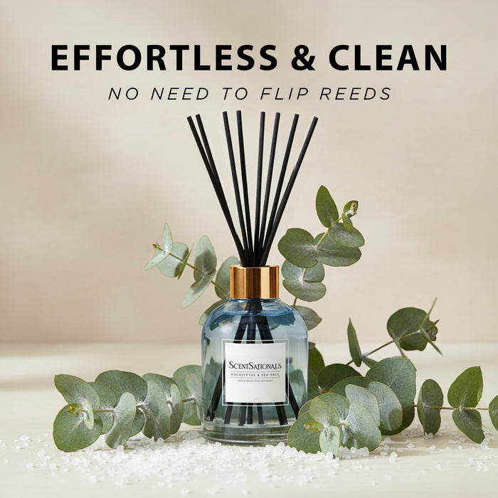 Eucalyptus & Sea Salt - Water-Based Reed Diffuser Oil