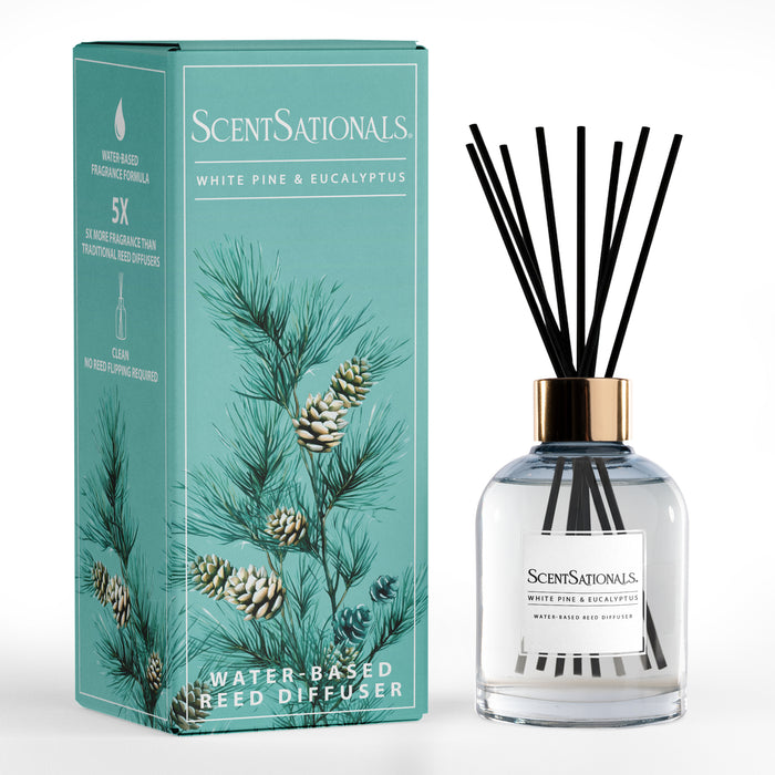 White Pine & Eucalyptus - Water-Based Reed Diffuser Oil