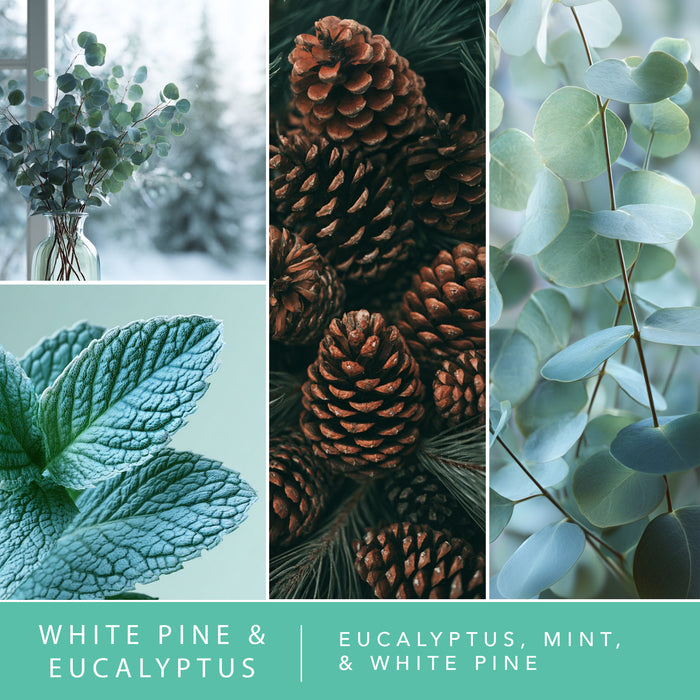 White Pine & Eucalyptus - Water-Based Reed Diffuser Oil