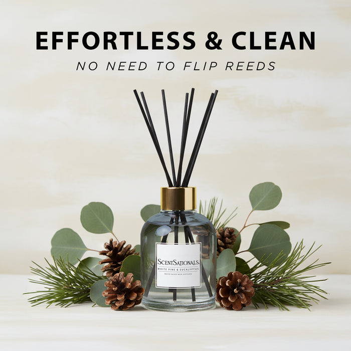 White Pine & Eucalyptus - Water-Based Reed Diffuser Oil