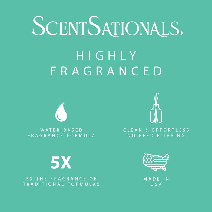 White Pine & Eucalyptus - Water-Based Reed Diffuser Oil