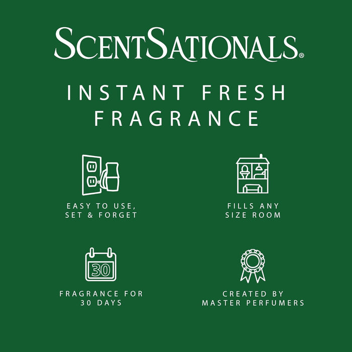 Under the Tree - Fragrance Oil Plug In Air Freshener 3pk