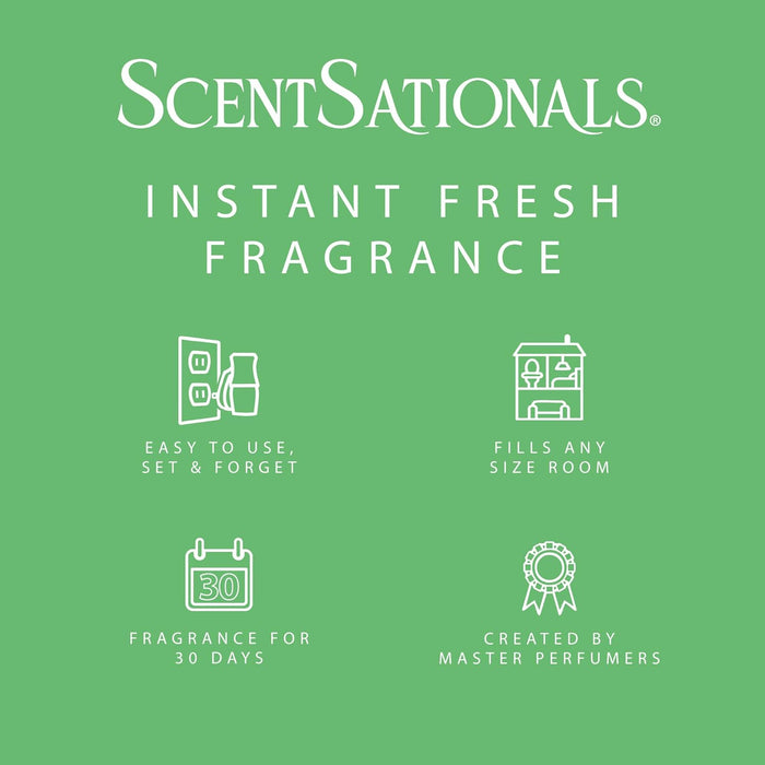 Frosted Evergreen - Fragrance Oil Plug In Air Freshener 3pk