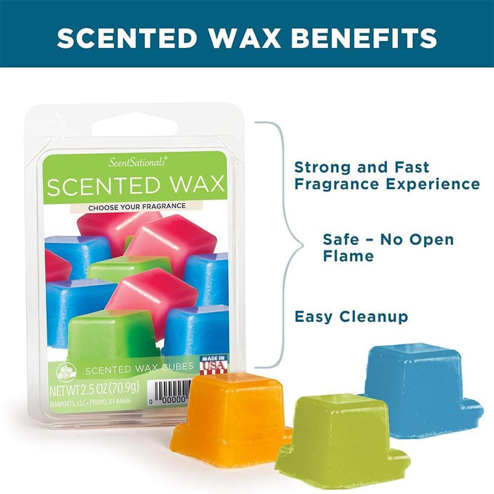Pacific Coast Highway - Wax Melt 4pk