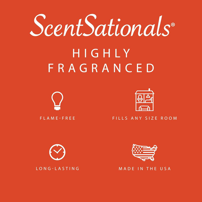 Molten Orange - Wax Melt 4pk