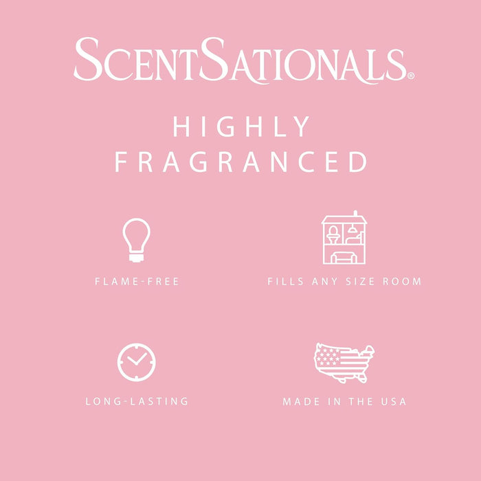 Candy Bracelets - Wax Melt 4pk