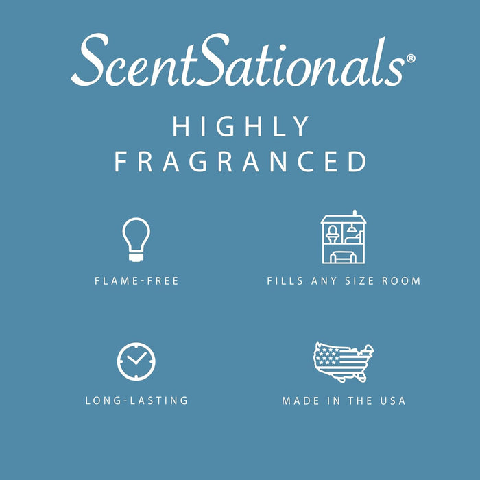 Coral Shores - Wax Melt 4pk