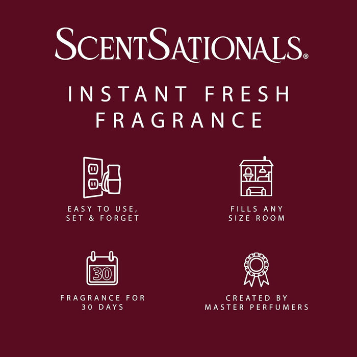 Warm Wishes - Fragrance Oil Plug In Air Freshener Refills 3pk