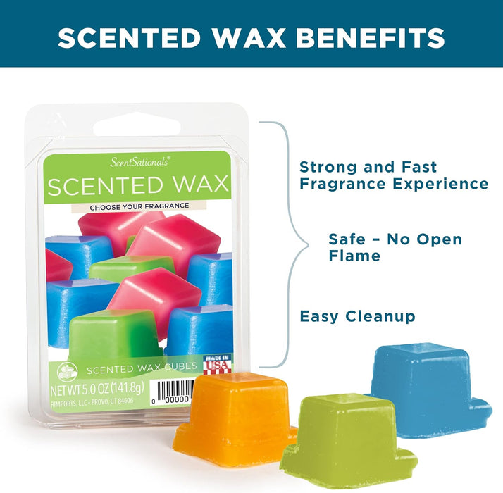 Vanilla Bean - Wax Melt 4pk