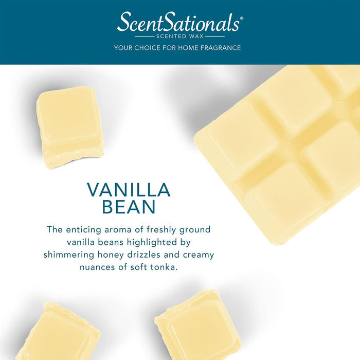 Vanilla Bean - Wax Melt 4pk