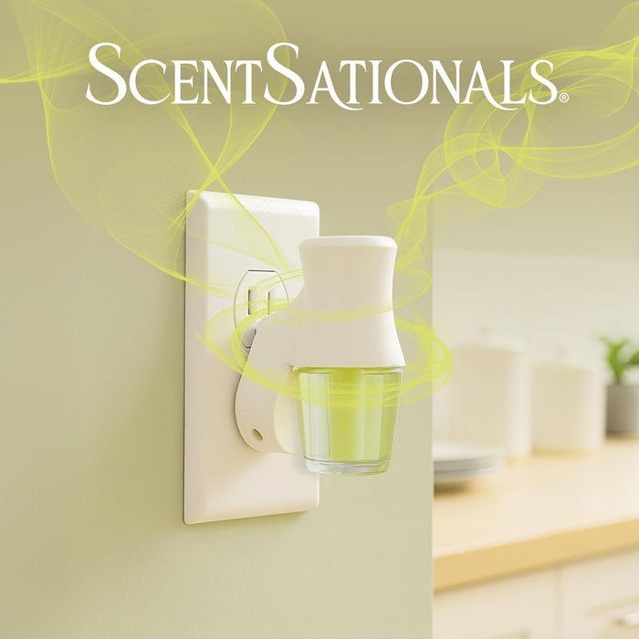 Frosted Evergreen - Fragrance Oil Plug In Air Freshener 3pk