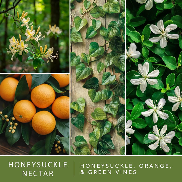 Down to Earth - Wax Melt Variety 4pk