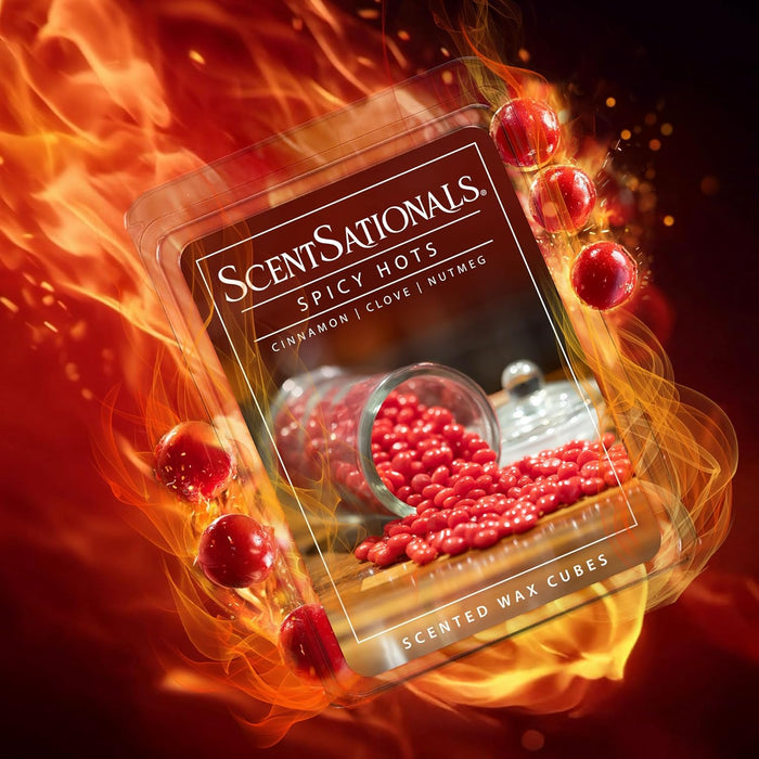 Spicy Hots - Wax Melt 4pk