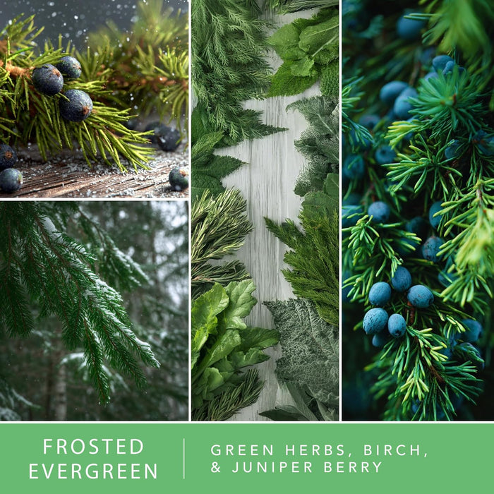 Frosted Evergreen - Fragrance Oil Plug In Air Freshener 3pk