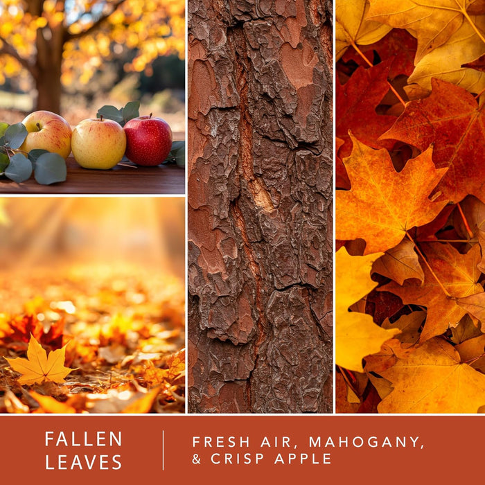 Harvest Home - Wax Melt Variety 4pk