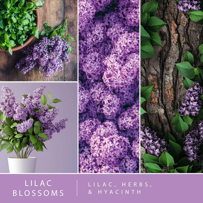 Plug in Air Freshener Starter Set – Swivel Plug Fragrance Oil Diffusers & 2 Long Lasting Scent Refills - Lilac Blossoms Scent