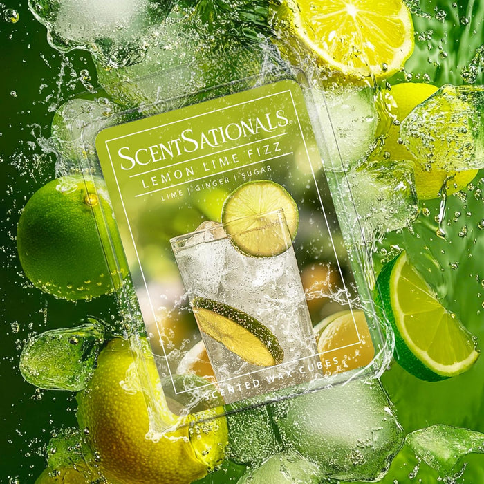 Lemon Lime Fizz - Wax Melt 4pk