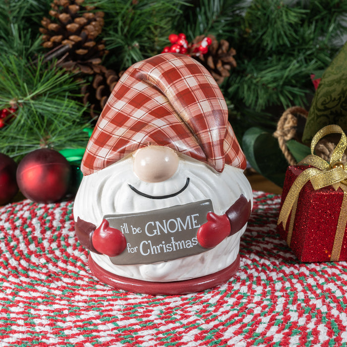 Gnome for Christmas Gnome Warmer