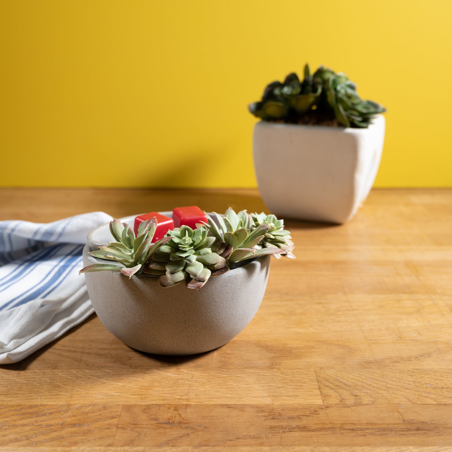 succulent wax warmer Succulent Bowl Warmer – ScentSationals