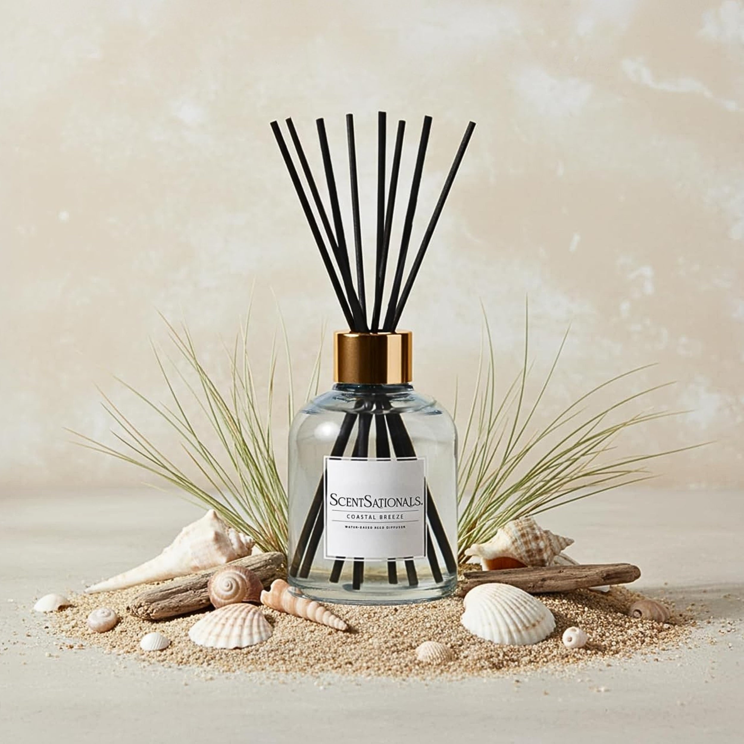 Coastal Breeze - Water-Based Reed Diffuser Oil – ScentSationals