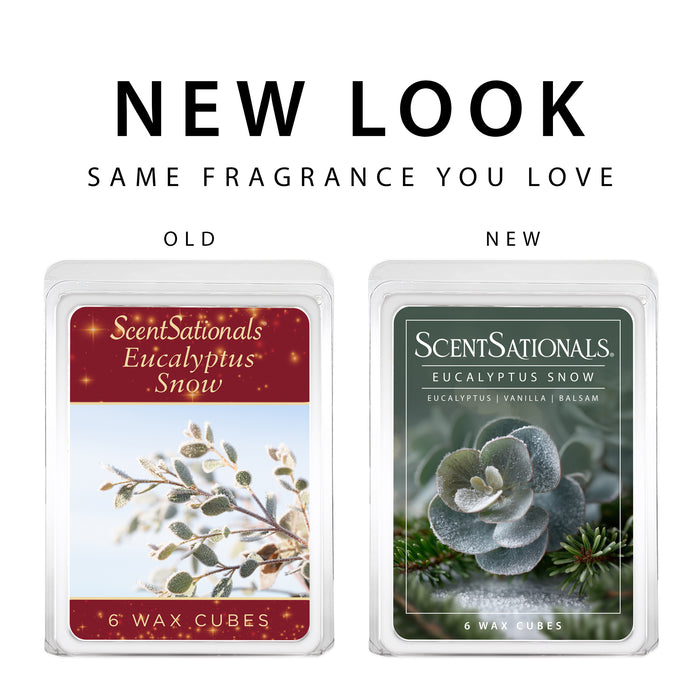 Eucalyptus Snow - Wax Melt 4pk