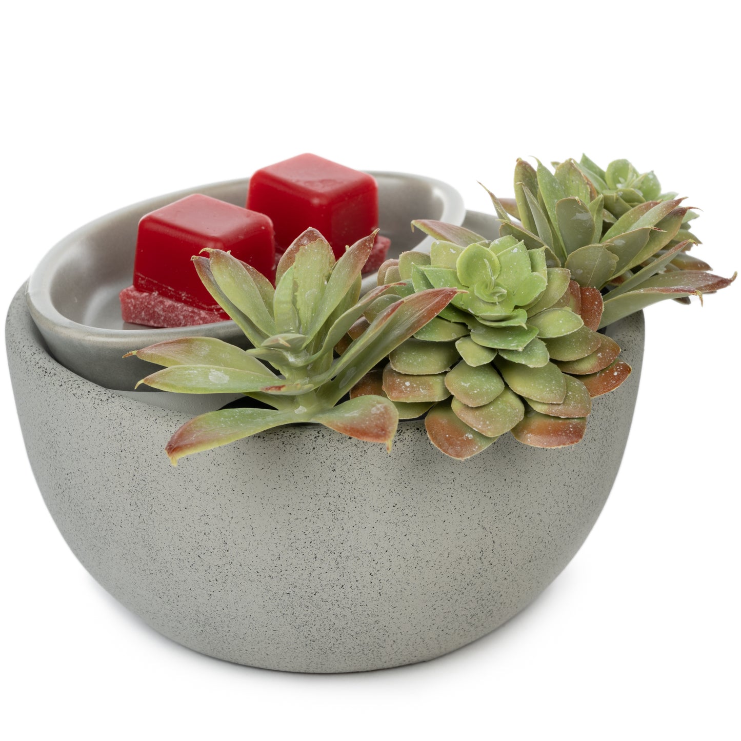 succulent warmer Scentsationals Wax Melt Warmer, Wax Warmer for Scented Wax Melts - Boho Collection Succulent Bowl