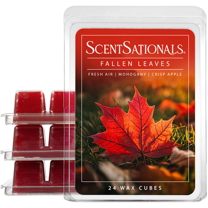 Fallen Leaves - Wax Melt 4pk