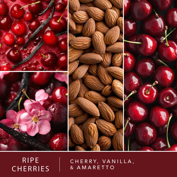 Down to Earth - Variety 4pk