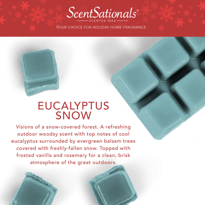 Eucalyptus Snow - Holiday Wax