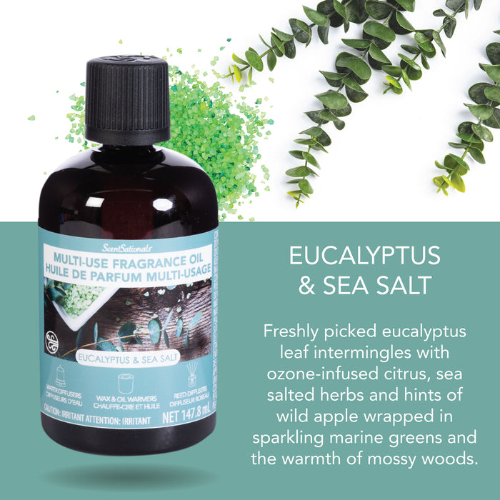 Eucalyptus & Sea Salt Multi Use Fragrance Oil