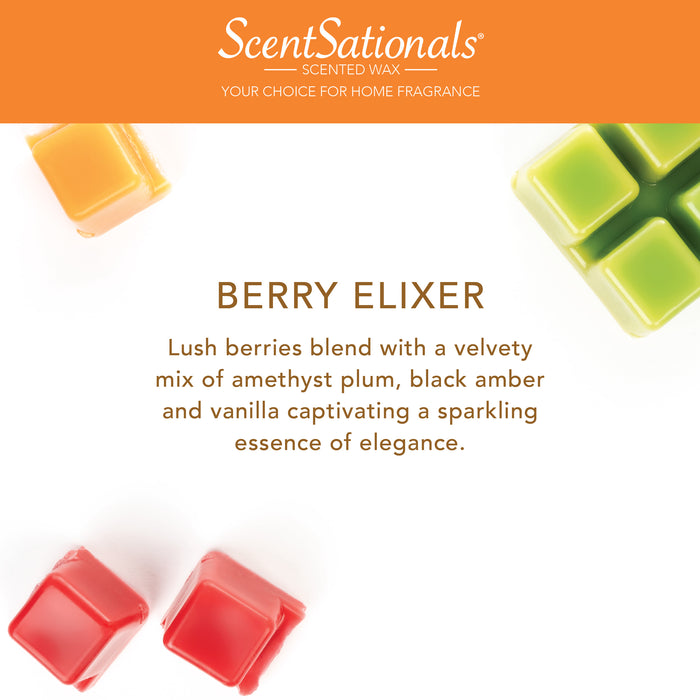 Halloween Wax Melts - Berry Elixir